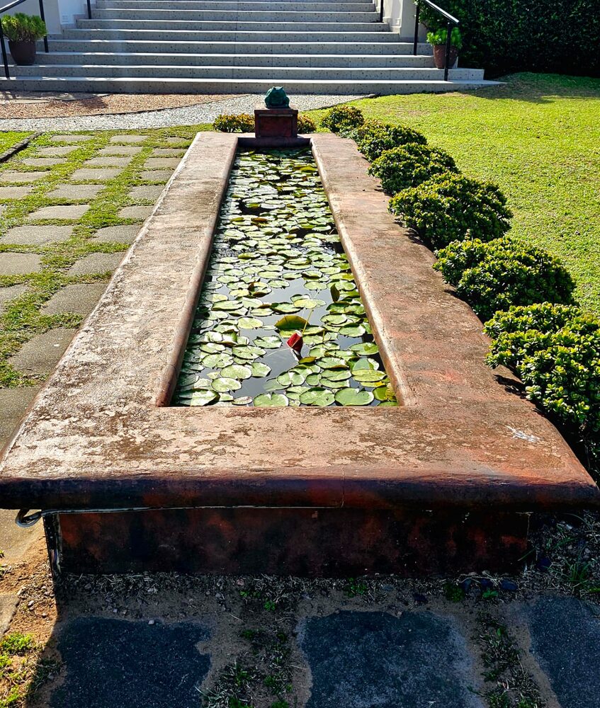 The lily pond in the gardens at Umdlalo Lodge, Umtentweni